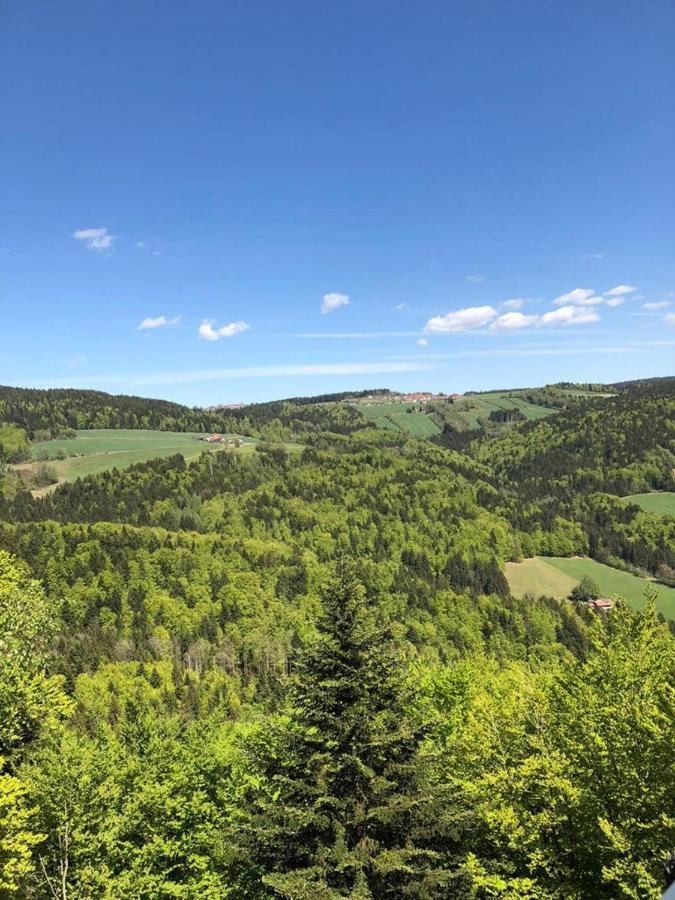 Ferienhaus Bayerwald Ringelai Εξωτερικό φωτογραφία