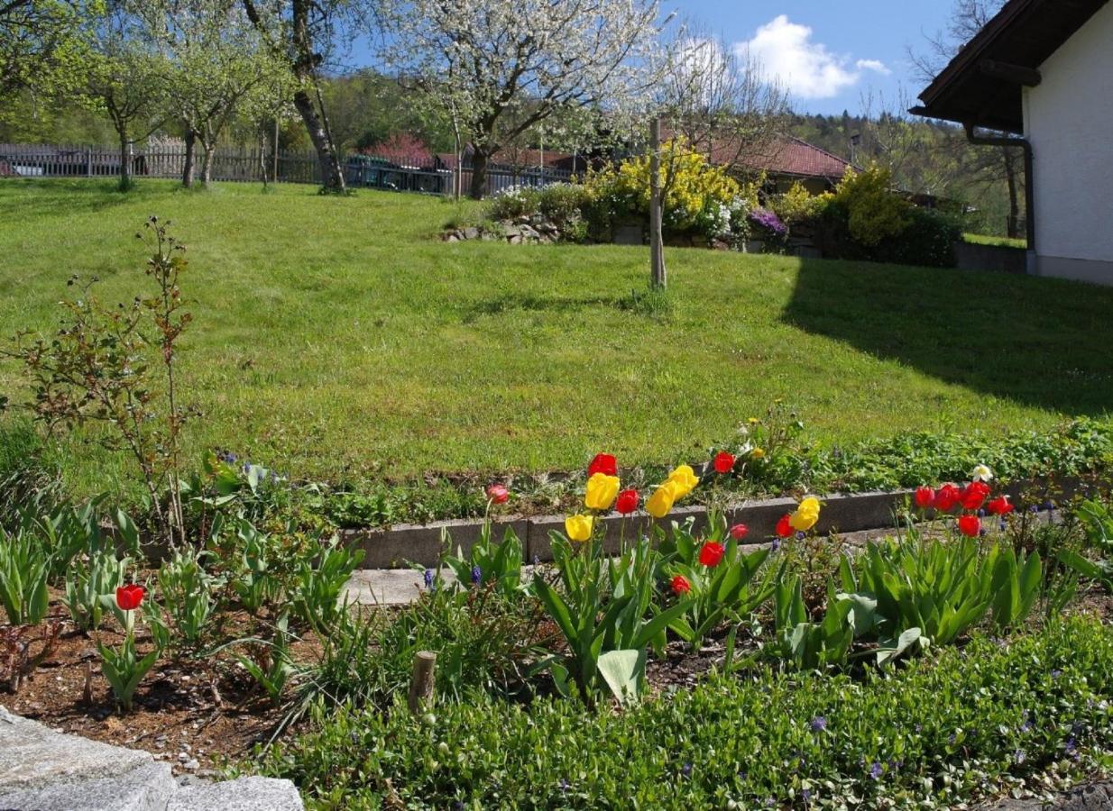 Ferienhaus Bayerwald Ringelai Εξωτερικό φωτογραφία